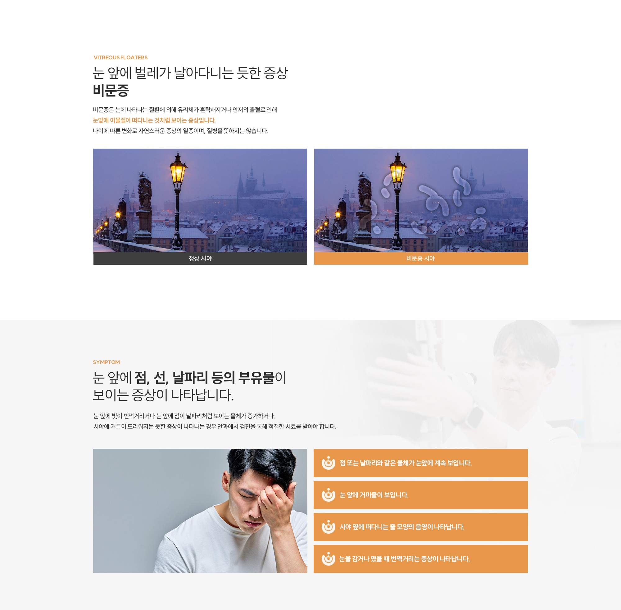 비문증